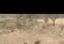 पुणे-सोलापूर महामार्गावर शिवशाही बसवर थरार: दरोड्याचा प्रयत्न की टोळीचा धुडगूस?